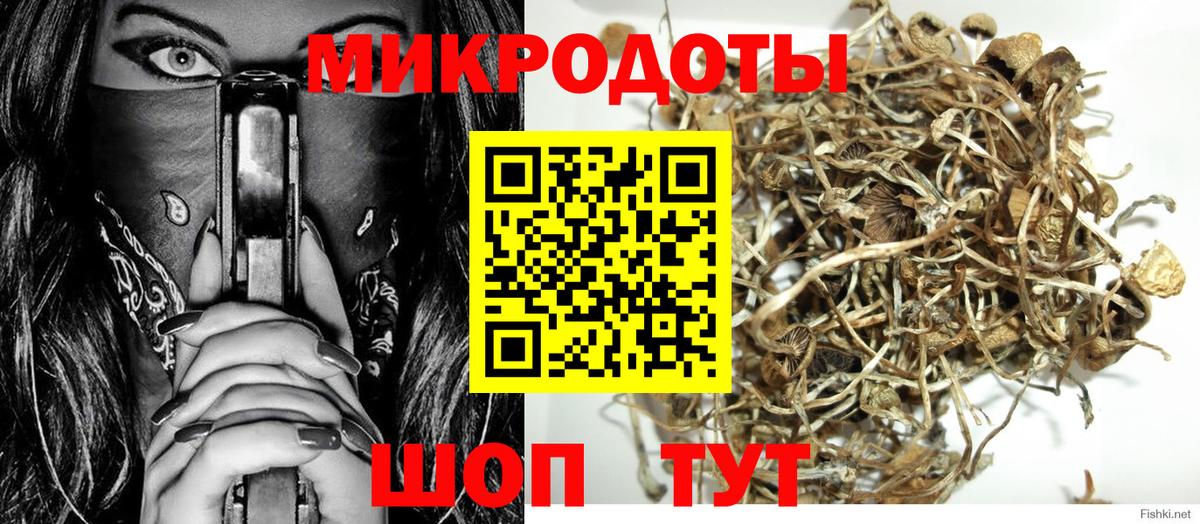 Галлюциногенные грибы Psilocybe Семилуки