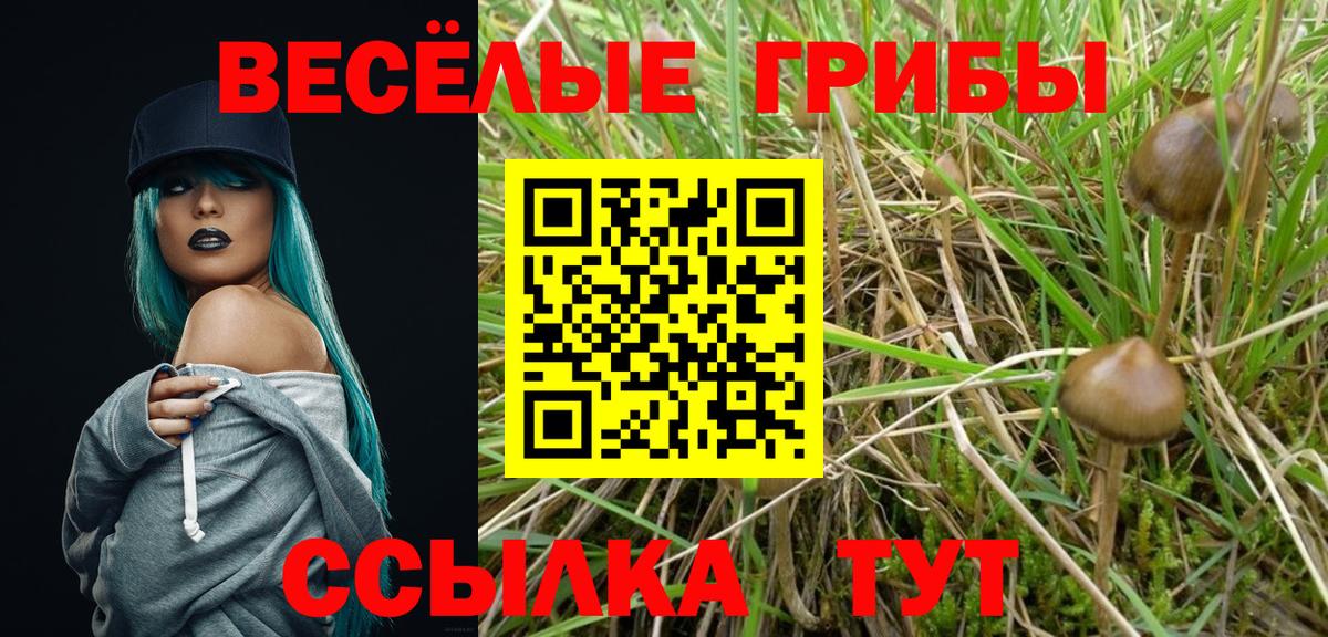 Псилоцибиновые грибы Magic Shrooms  Вход с VPN  Галлюциногенные грибы Magic Shrooms  Семилуки 